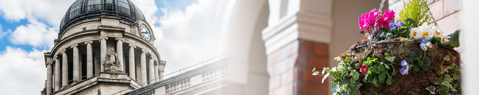 Contact The Grove Guest House