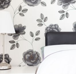 Click Here To View Larger Image